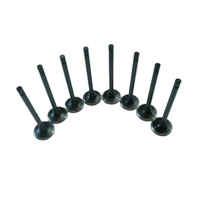 Refine Rein Sonnenstrahl Ein- und Auslassventile Stahlmaterial OE NO. 1003014FB/1003015FB