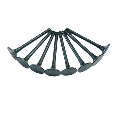 Refine Rein Sonnenstrahl Ein- und Auslassventile Stahlmaterial OE NO. 1003014FB/1003015FB