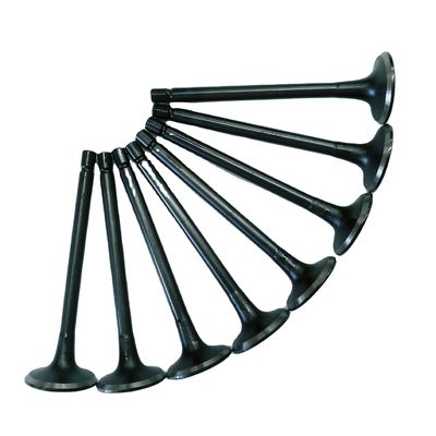 Refine Rein Sonnenstrahl Ein- und Auslassventile Stahlmaterial OE NO. 1003014FB/1003015FB