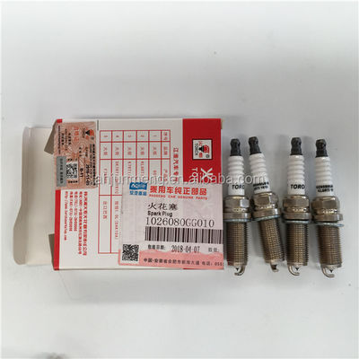 Autoteile für Zündkerze J2 J3 J5 J6 S3 OEM-Nummer 1026080GG010