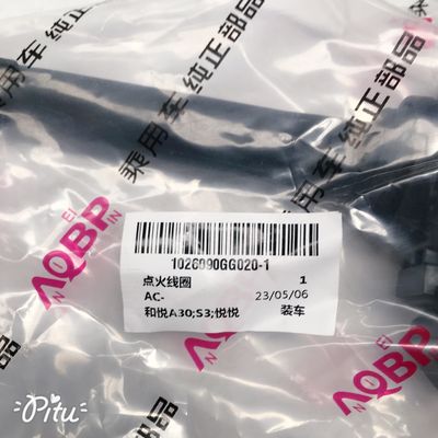 JAC He Yue-A30 Refine-S3 Yue Yue Zündungsspule OE Nr. 1026090GG020-1 für Fahrzeuge
