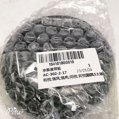 2008-2014 Jahr Wasserpumpenpulle für JAC He Yue/Refine S3/REIN/Tong Yue 1041018GG010